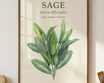 Sage Botanical Print, Salvia Officinalis Poster, Vintage Kitchen Wall Art, Culinary Decor