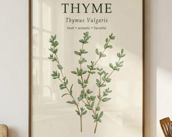 Thyme Botanical Print, Thymus Vulgaris Poster, Vintage Kitchen Wall Art, Culinary Decor