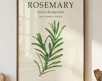 Rosemary Botanical Print, Salvia Rosmarinus Poster, Vintage Kitchen Wall Art, Culinary Decor