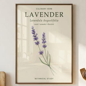 May include: A framed wall art print featuring a botanical illustration of a lavender sprig with purple flowers and green stems. The text reads CULINARY HERB, LAVENDER, Lavandula Angustifolia, sweet, aromatic, flavorful, and BOTANICAL STUDY.