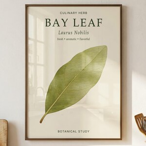 Pode incluir: Uma impressão de arte emoldurada com a ilustração de uma única folha de louro verde sobre um fundo creme. O texto diz CULINARY HERB, BAY LEAF, Laurus Nobilis, fresh, aromatic, flavorful e BOTANICAL STUDY. A moldura é de metal fino castanho escuro.