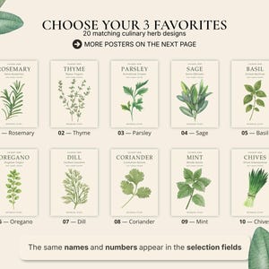 May include: A collection of ten botanical herb posters featuring watercolour illustrations of rosemary, thyme, parsley, sage, basil, oregano, dill, coriander, mint, and chives. Each poster includes the herb name, scientific name, and a number.
