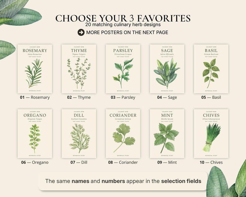 May include: A collection of ten botanical herb posters featuring watercolour illustrations of rosemary, thyme, parsley, sage, basil, oregano, dill, coriander, mint, and chives. Each poster includes the herb name, scientific name, and a number.