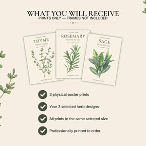 May include: Three botanical poster prints featuring illustrations of thyme, rosemary, and sage with their scientific names. The text reads WHAT YOU WILL RECEIVE, PRINTS ONLY &mdash; FRAMES NOT INCLUDED, and lists 3 physical poster prints, 3 selected herb designs, all prints in the same selected size, and professionally printed to order.