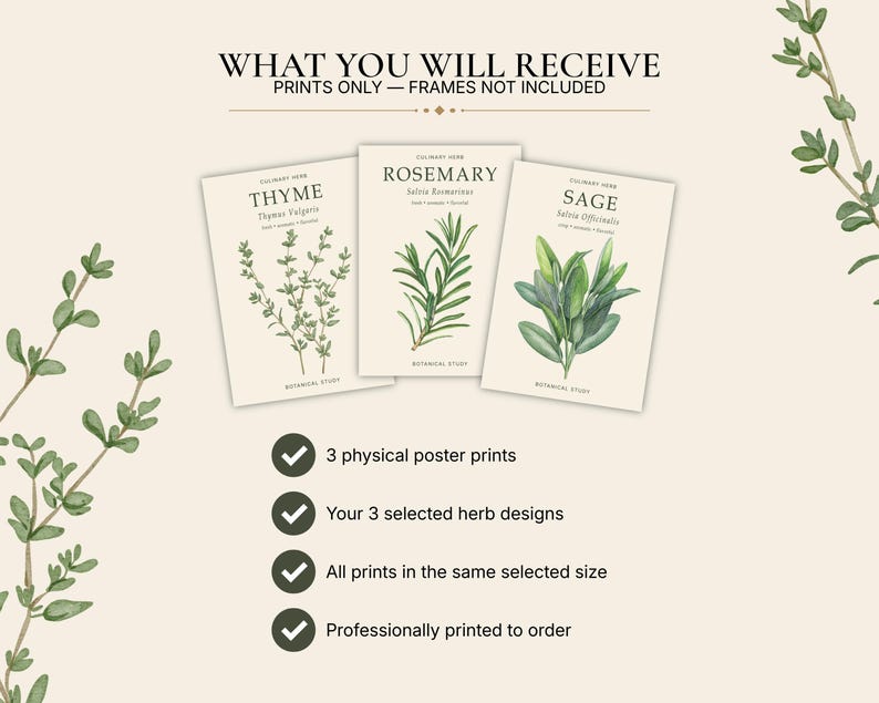 May include: Three botanical poster prints featuring illustrations of thyme, rosemary, and sage with their scientific names. The text reads WHAT YOU WILL RECEIVE, PRINTS ONLY &mdash; FRAMES NOT INCLUDED, and lists 3 physical poster prints, 3 selected herb designs, all prints in the same selected size, and professionally printed to order.