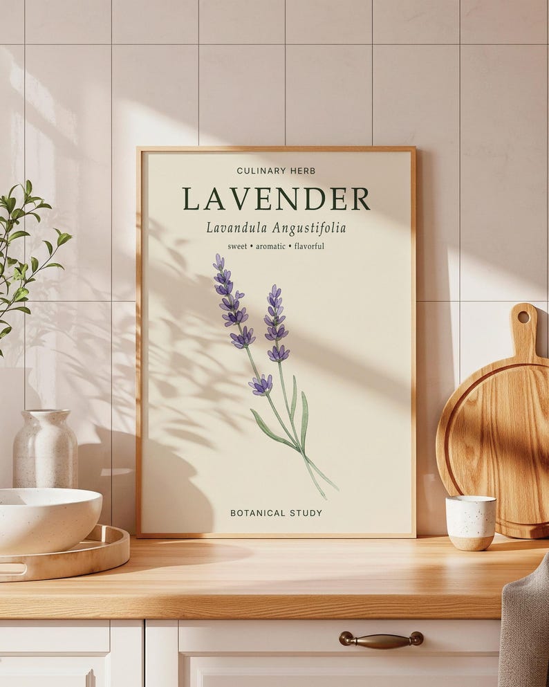 May include: A framed botanical print featuring a watercolor illustration of lavender sprigs with the text CULINARY HERB LAVENDER Lavandula Angustifolia sweet aromatic flavorful BOTANICAL STUDY printed in black on a cream-colored background.