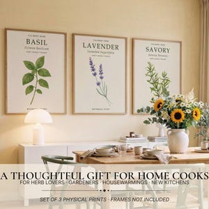 May include: A set of three botanical wall art prints featuring illustrations of basil, lavender, and savory herbs. Each print includes the common name, scientific name, and the text Culinary Herb and Botanical Study in a light wood frame.