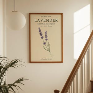 May include: A rectangular framed wall art print featuring a botanical illustration of lavender with purple flowers and green stems. The text reads CULINARY HERB, LAVENDER, Lavandula Angustifolia, sweet, aromatic, flavorful, and BOTANICAL STUDY.