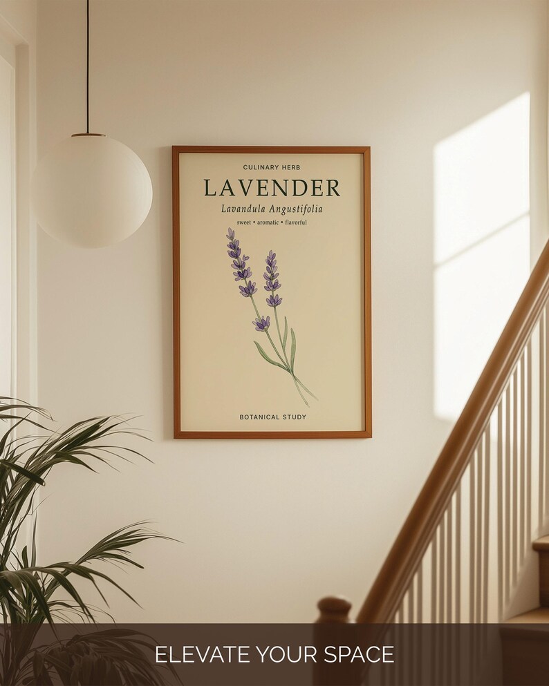 May include: A rectangular framed wall art print featuring a botanical illustration of lavender with purple flowers and green stems. The text reads CULINARY HERB, LAVENDER, Lavandula Angustifolia, sweet, aromatic, flavorful, and BOTANICAL STUDY.
