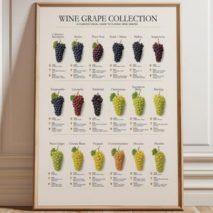Puede incluir: Un póster educativo enmarcado titulado WINE GRAPE COLLECTION, A CURATED VISUAL GUIDE TO CLASSIC WINE GRAPES. La impresión presenta tres filas de diversas variedades de uva, cada una con su nombre, origen, estilo y perfil de sabor debajo.