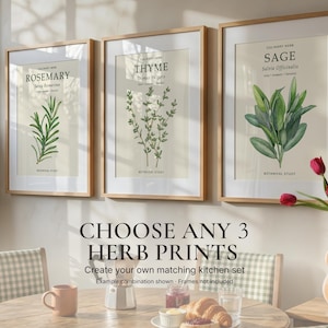May include: Three framed botanical wall art prints featuring illustrations of rosemary, thyme, and sage. Each print includes the herb name, scientific name, and the text CULINARY HERB and BOTANICAL STUDY. The text CHOOSE ANY 3 HERB PRINTS is centred below.