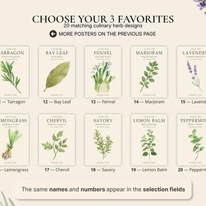May include: A collection of ten botanical herb posters labelled 11 through 20, featuring watercolour illustrations of tarragon, bay leaf, fennel, marjoram, lavender, lemongrass, chervil, savoury, lemon balm, and peppermint on a cream background.