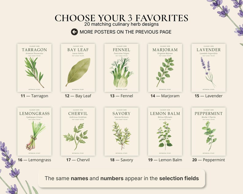 May include: A collection of ten botanical herb posters labelled 11 through 20, featuring watercolour illustrations of tarragon, bay leaf, fennel, marjoram, lavender, lemongrass, chervil, savoury, lemon balm, and peppermint on a cream background.