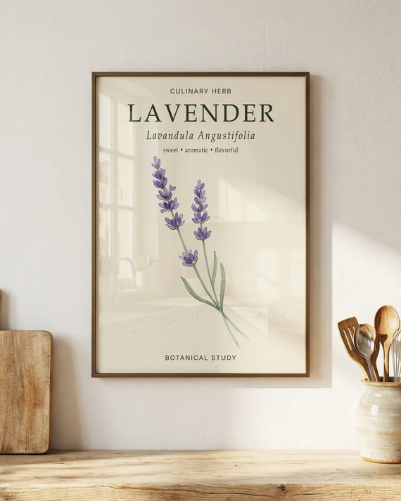 Lavender Botanical Print, Lavandula Angustifolia Poster, Vintage Kitchen Wall Art, Culinary Decor