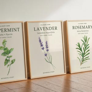 May include: Three framed botanical prints in light wood frames featuring illustrations of peppermint, lavender, and rosemary. Each print includes the text CULINARY HERB, the plant name, scientific name, descriptive adjectives, and BOTANICAL STUDY.