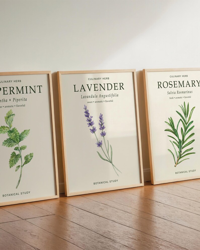 May include: Three framed botanical prints in light wood frames featuring illustrations of peppermint, lavender, and rosemary. Each print includes the text CULINARY HERB, the plant name, scientific name, descriptive adjectives, and BOTANICAL STUDY.