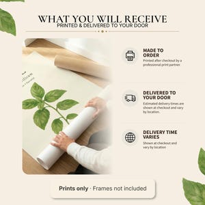 May include: A beige informational graphic titled WHAT YOU WILL RECEIVE, PRINTED & DELIVERED TO YOUR DOOR. It features a watercolour basil print being rolled, with icons for made to order, delivery, and location, plus the text Prints only &middot; Frames not included.