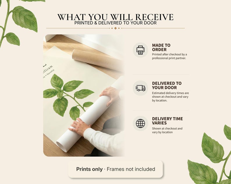May include: A beige informational graphic titled WHAT YOU WILL RECEIVE, PRINTED & DELIVERED TO YOUR DOOR. It features a watercolour basil print being rolled, with icons for made to order, delivery, and location, plus the text Prints only &middot; Frames not included.