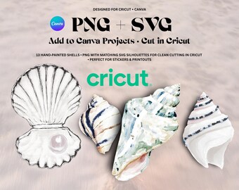 Seashell PNG + SVG Set • Watercolor Shell Clipart • Designed for Cricut Print Then Cut • Use PNGs in Canva for Stickers + Crafts