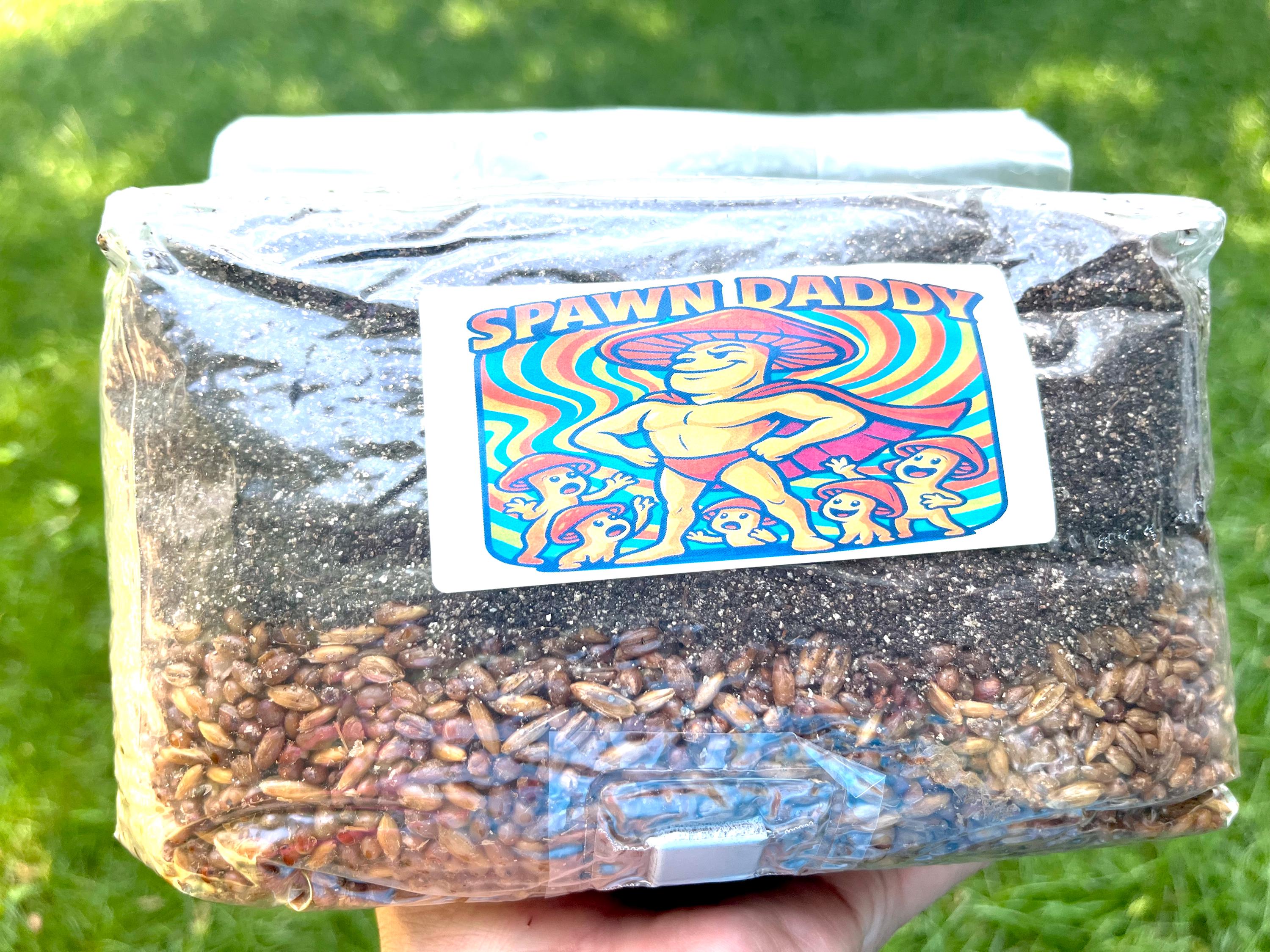 Magic mushroom grow kit - Etsy 日本