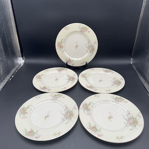 5 Theodore Haviland New York Apple Blossom Large Dinner Plate 10 3/4