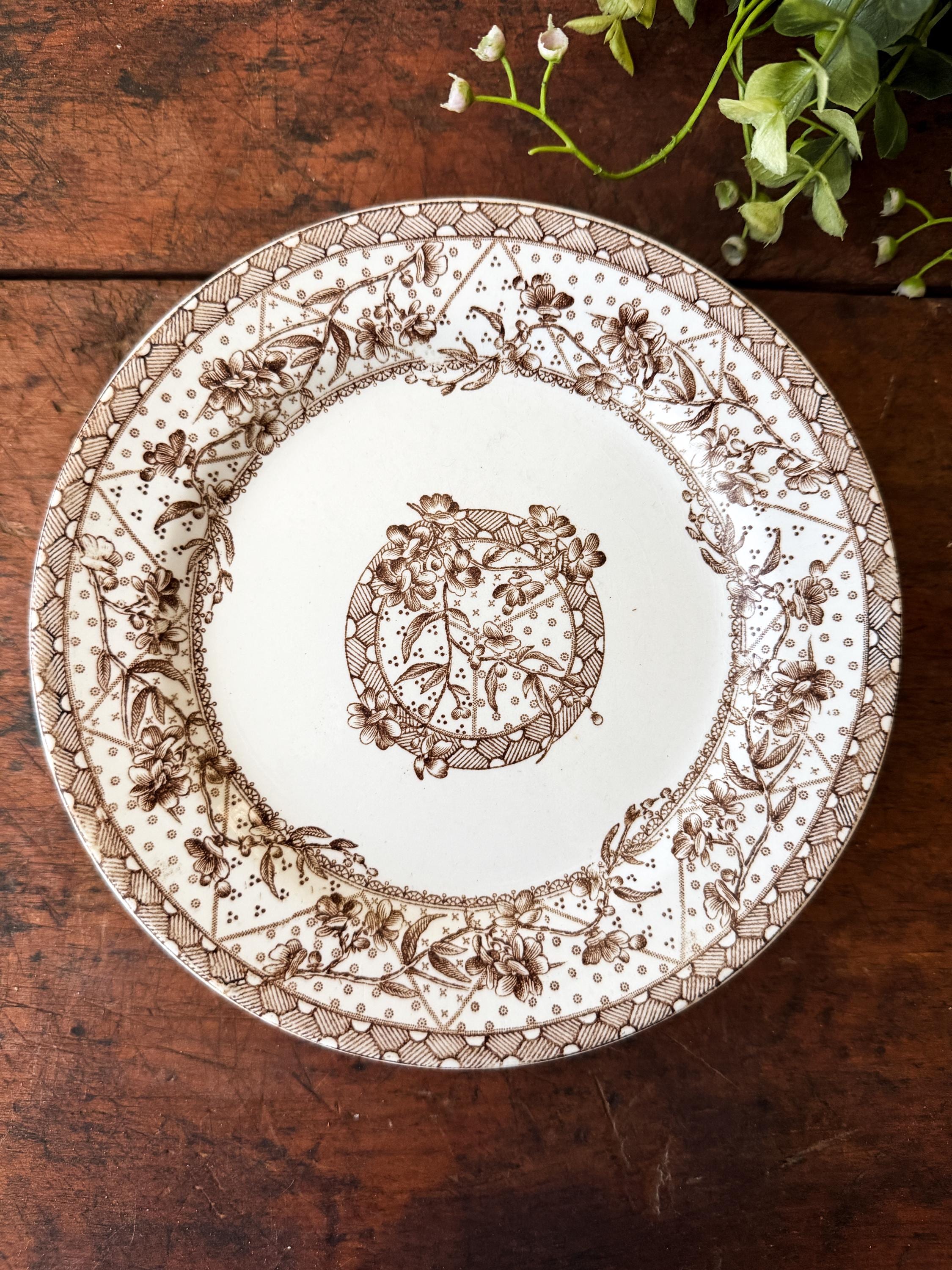 Antique Wh Grindley - Etsy