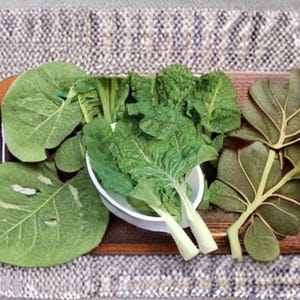 May include: A wooden serving tray with a variety of fresh green leaves. The leaves are arranged in a white bowl and on the tray. Some leaves are large and have holes, while others are smaller and more compact. The tray is on a patterned surface.