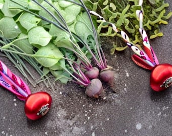 Detroit Dark Red Beet Seeds – Heirloom Vegetable Garden Favorite (40 Seeds)