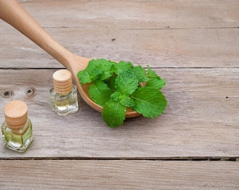 Spearmint – Herb 100 Seeds | Classic Culinary Mint | Refreshing Flavor | Easy-to-Grow Perennial