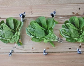 Komatsuna Seeds - Japanese Mustard Green, Spinach Flavor (300 Seeds)