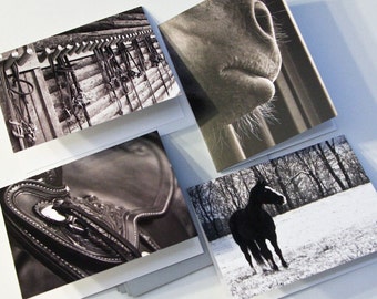 Blank Notecard Set - Four Horse Scenes - Great Gift for Horse Lovers