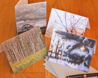 Blank Notecard Set - Four Seasonal Trees