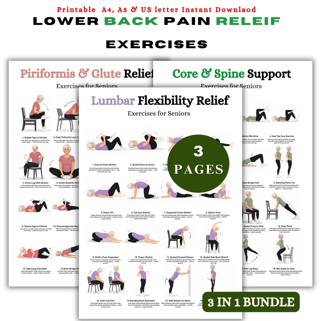 Lower Back Pain Relief Exercises | Back Pain Relief PDF | Sciatica ...