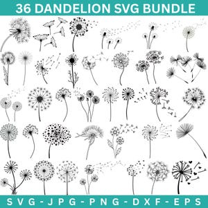 Puede incluir: Un conjunto de 36 diseños SVG de diente de león en blanco y negro. Los dientes de león se representan en varias etapas, desde capullos cerrados hasta cabezas de semillas completamente florecidas. El texto "36 DANDELION SVG BUNDLE" está en la parte superior.