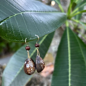 Handmade Hawaiian Cowrie Shell Dangle Earrings