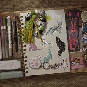 Großes Katzenbuch Paket