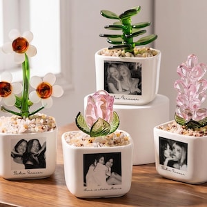 Puede incluir: Una colección de plantas decorativas de vidrio en macetas cuadradas blancas. Cada maceta presenta una foto en blanco y negro y las palabras "Bestie Forever" o "Home is where Mom is." Las plantas de vidrio incluyen margaritas, una suculenta, una rosa y una flor similar a la lavanda.