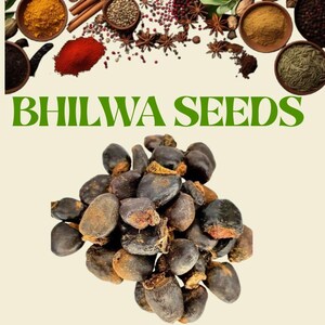 Semi puri di Bhilawa, Bilva Beej, Bhilava