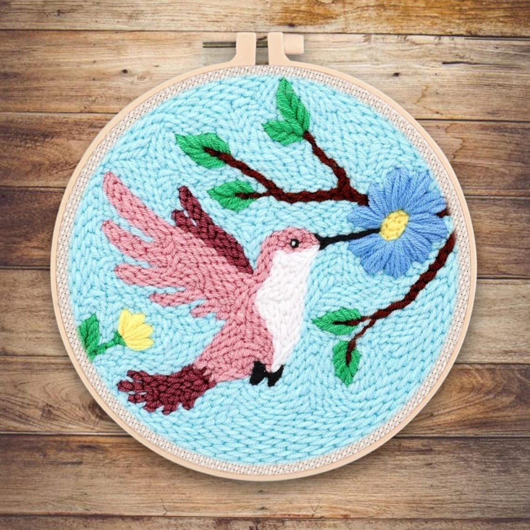 Punch Needle Kit for Beginners With Printed Pattern, Yarn & Tools – DIY ...