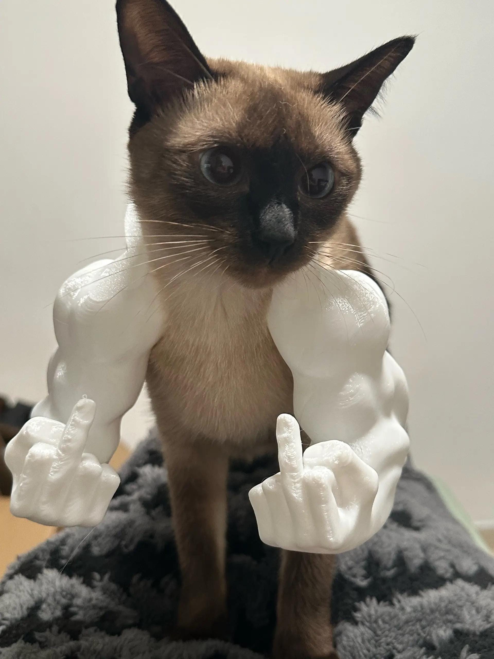 Muscle Cat Hulks Arms, 3D Printed Cat's Neck Arms With Muscle