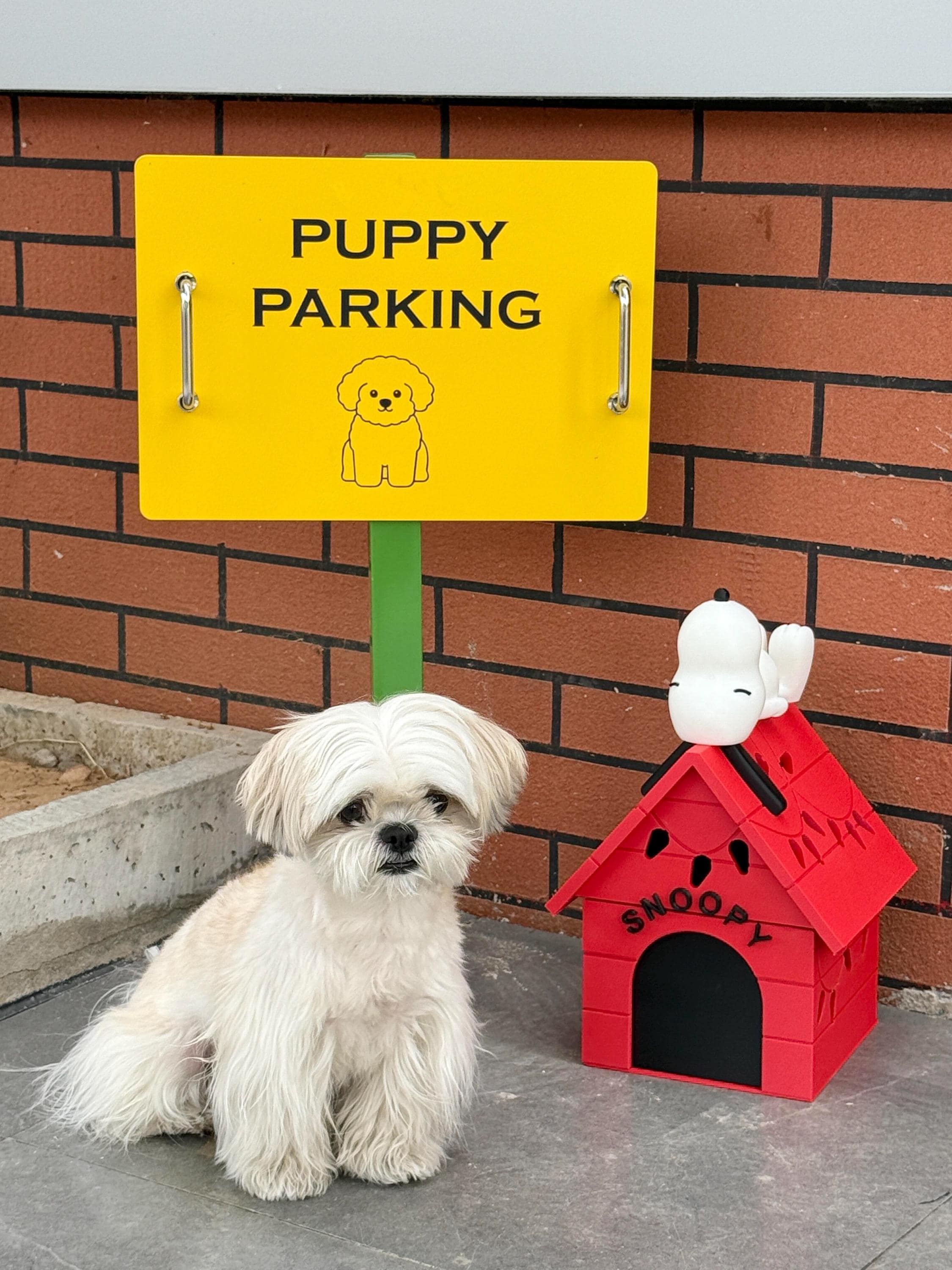 How to Make a Snoopy Dog House Out of Cardboard: Easy DIY Guide
