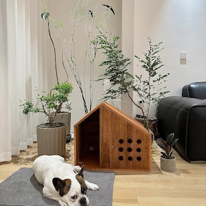 Modern DIY Wooden Pet House Plan – Indoor Cat Dog Bed Design – Digital Woodworking Files for Cutting & Assembly – Home Decor Project