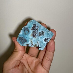The Blue Cartographer — Natural Dominican Larimar Slice — Deep Blue Orbicular Pattern — Raw Collector Mineral Specimen