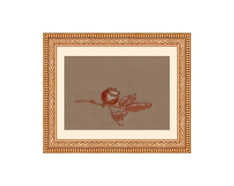 Può includere: Una stampa botanica in tonalità seppia incorniciata. L'opera raffigura un disegno dettagliato di un piccolo uccello posato su un ramo con foglie. La cornice è ornata con una finitura dorata, che aggiunge un tocco di eleganza.