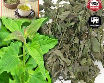 Calea Zacatechichi Dried Mexican Dream Herb Leaves Lucid Herbal Organic leaf Tea