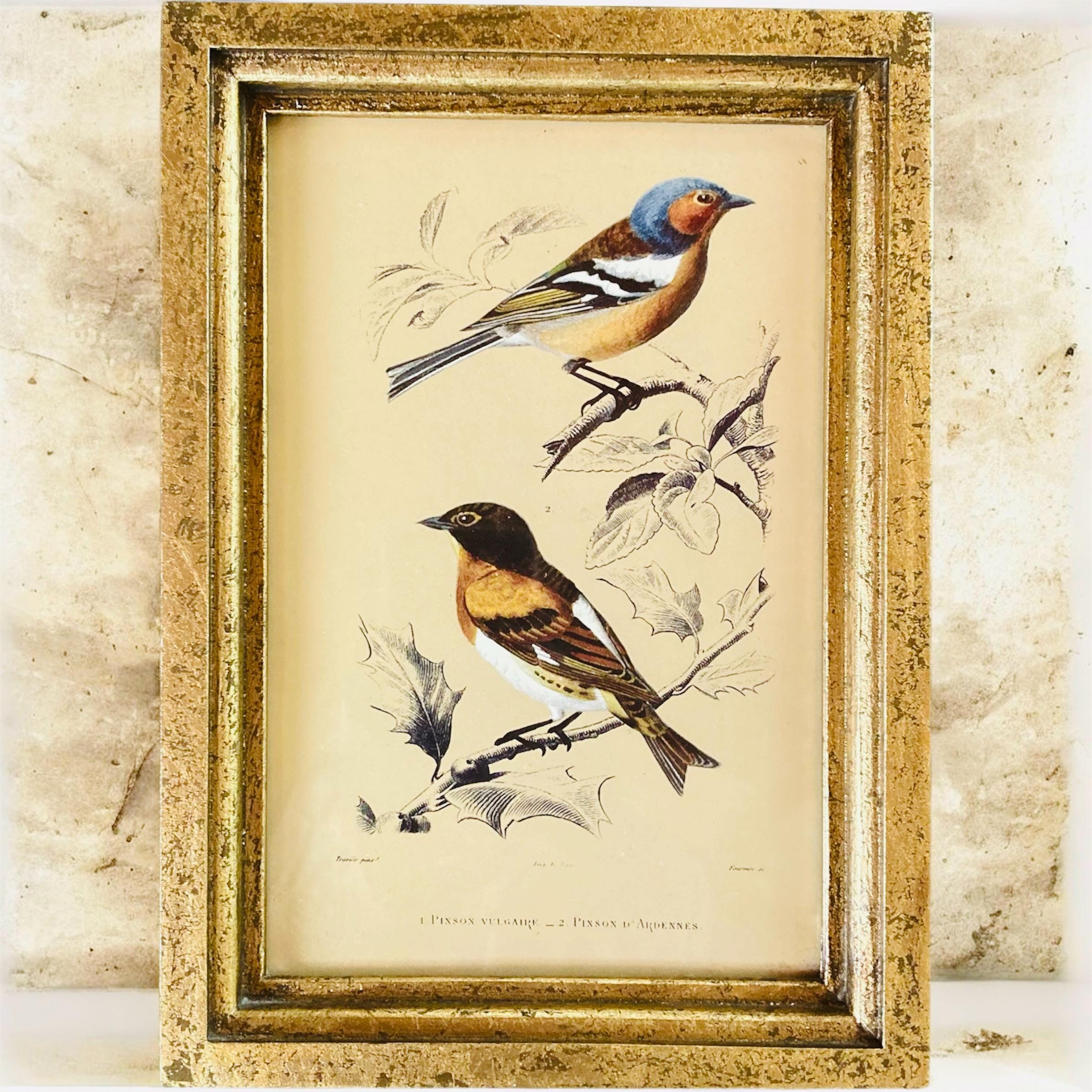 Bramble finch - Etsy 日本