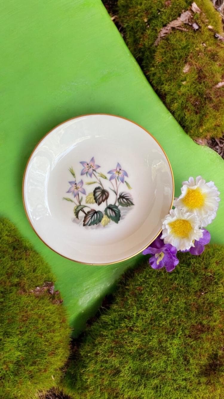 ANTIQUE F&C OSLER LONDON PORCELAIN 鑑賞用皿 il_fullxfull.6748319992_ehh7.jpg