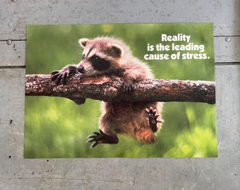 90s デッドストック We Are Not Alone 大判ポスター Vintage Argus 90s Motivational Posters YOUR CHOICE: Raccoon