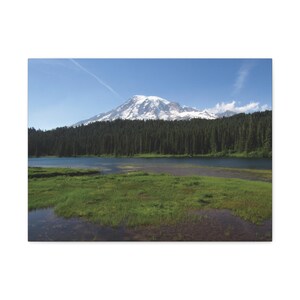 Mount Rainier Stream and Forest - Fine Art Photography