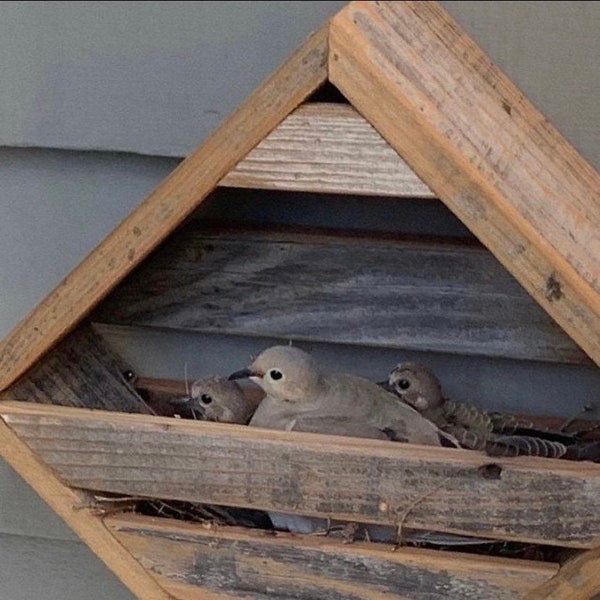 Ready to ship in 3-5 days. Dove or Wren Nesting Box or rustic Shelf redwood